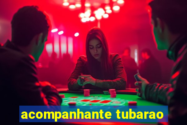 acompanhante tubarao